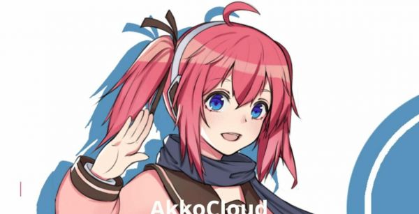 akkocloud：美国圣何塞CN2 VPS/三网回程GIA/电信去程GIA/季付￥99/年付￥299起