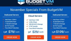 budgetvm：最新5折优惠/月付$40起/日本美国物理机/1Gbps不限流量/16g内存/1T硬盘/1800G高防/支付宝