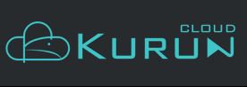 KuRun：洛杉矶独服，CUPM专线，月付$120起/e3-1240v2/16g内存/250gSSD/100M独享/10GDDOS防御/无视CC攻击/数字货币