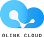 Olink Cloud：优惠码/月付$5.6/圣何塞VPS/1核1G内存/10G SSD/500G流量/1G带宽/KVM/三网回程联通AS9929/美区Netflix