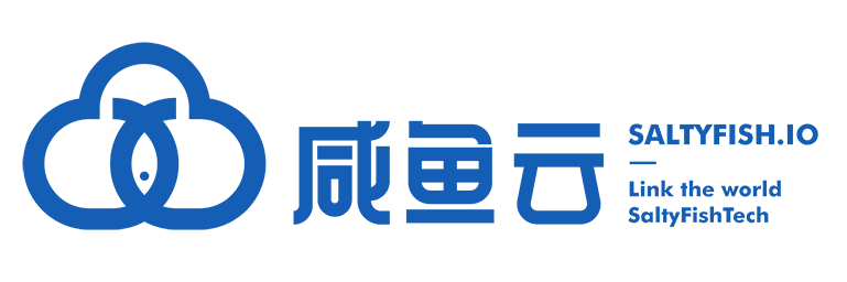 SaltyFish咸鱼：新年8折预售优惠/月付$4.4/1核1GB内存/1Gb网络/美国圣何塞KVM VPS/三网联通回程